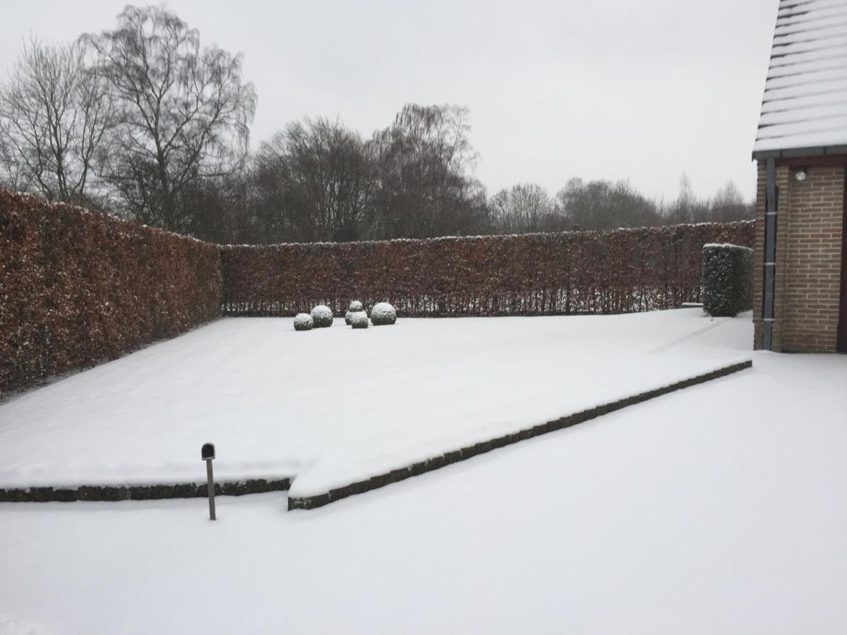 Artemis Villa Ronse Exteriör bild