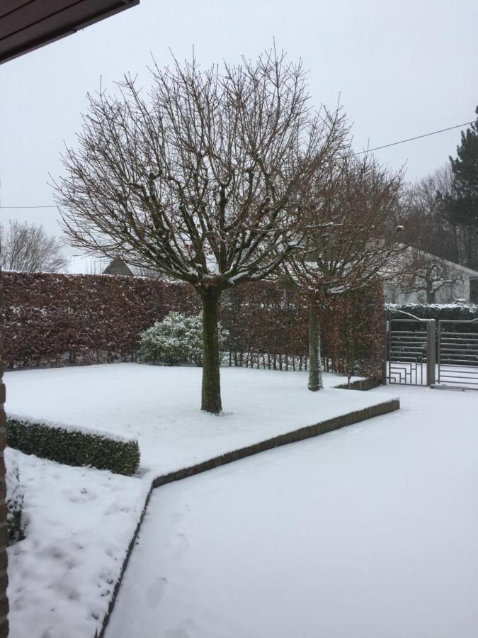 Artemis Villa Ronse Exteriör bild