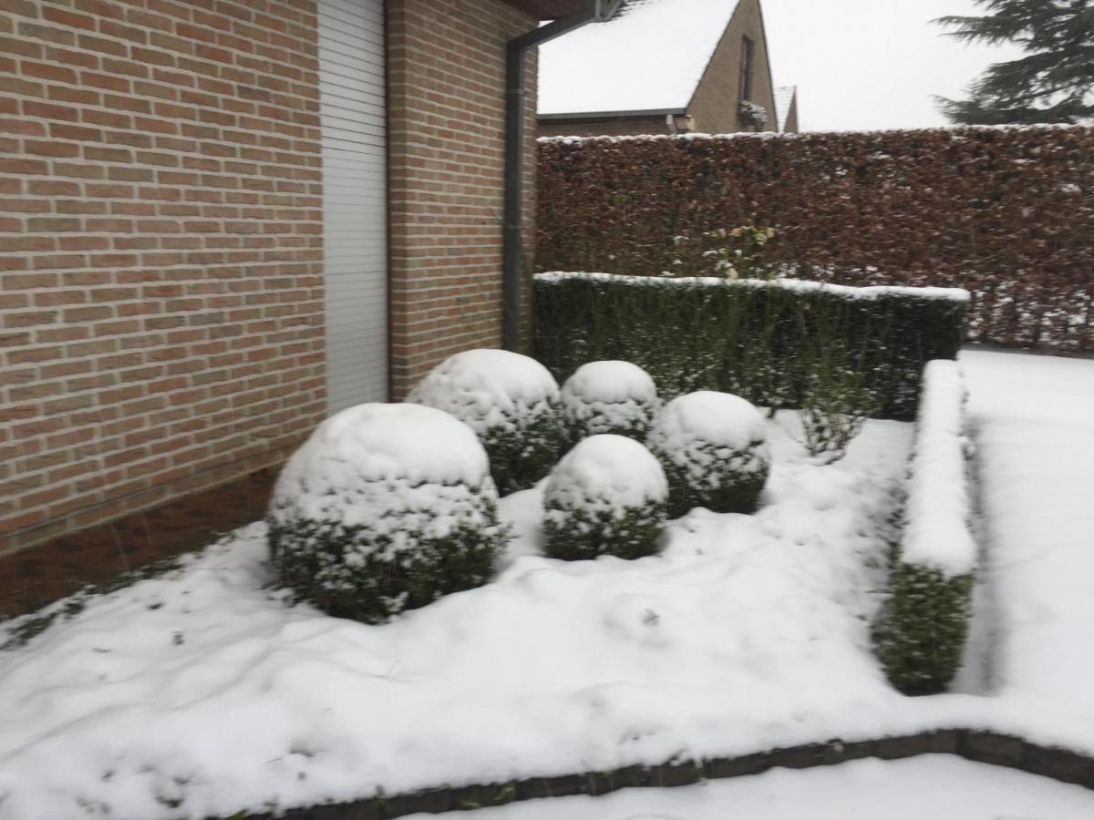 Artemis Villa Ronse Exteriör bild
